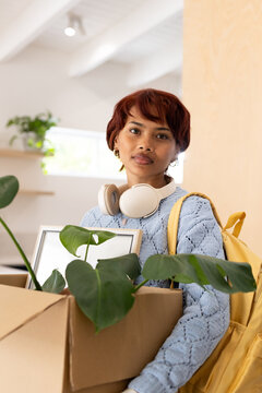 African American woman in blue sweater carrying moving box with large potted plant at apartment