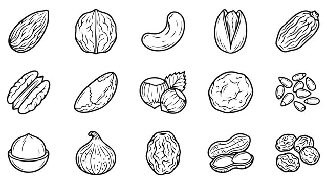 Set of hand drawn sketch icons representing various healthy organic nuts and seeds for food design