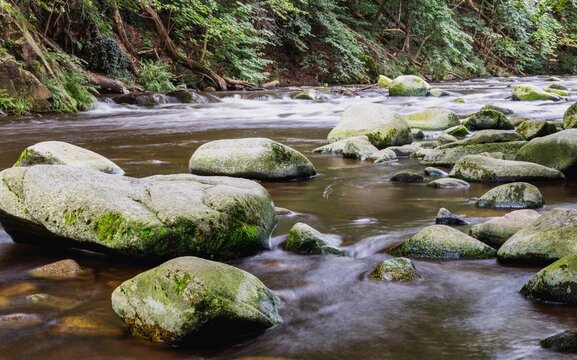 Long-exposure photo of the wild course of the Bode River in the Harz natural forest.