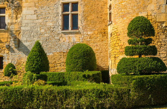 France, Lot, Chateau Puymartin.  Topiary evergreen shrubs adorn the outside of this 13th century castle.