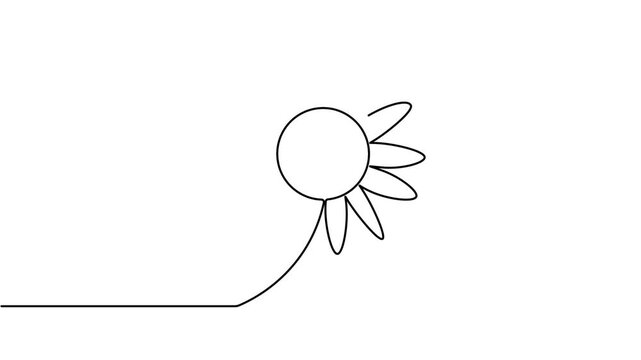 Animated daisy flower icon sign continuous one line drawing moving on white background minimalist single art collection of botanical wildflower floral symbol animation