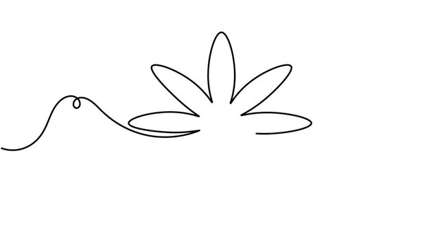 Animated daisy flower icon sign continuous one line drawing moving on white background minimalist single art collection of botanical wildflower floral symbol animation