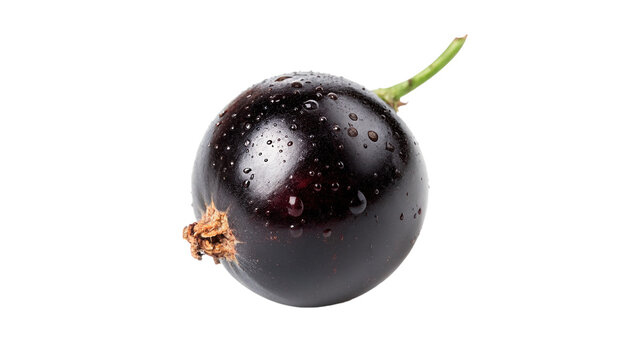 Single fresh whole black currant berry isolated on transparent background