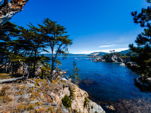 view of Point Lobos, California