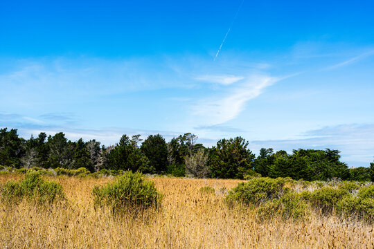 View of California countryside