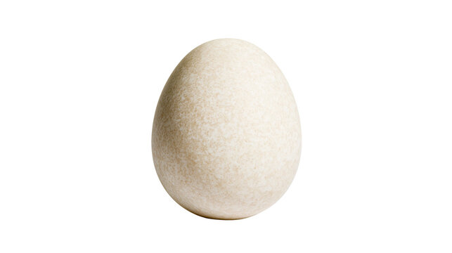 Isolated natural raw bird egg, subtly speckled brown, fresh organic food ingredient