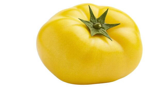 Isolated fresh yellow tomato with green stem, ripe and vibrant, healthy organic vegetable fruit