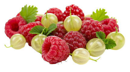 Isolated vibrant red raspberries and green gooseberries with fresh leaves for healthy eating © Gabriel