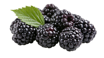 Isolated pile of fresh ripe blackberries with a single green leaf for healthy eating © Gabriel