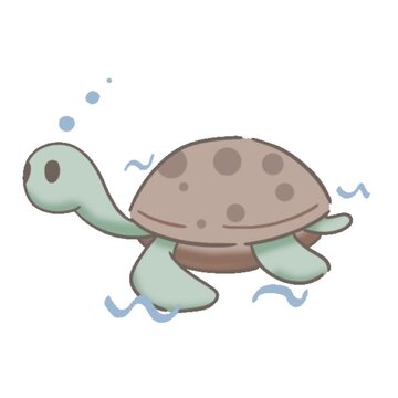 funny turtle cartoon
