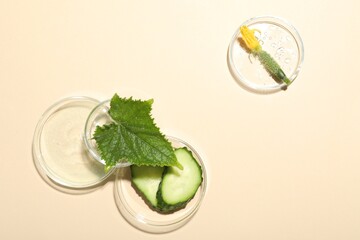 Obraz premium Petri dishes with cucumber slices and leaf on beige background, flat lay