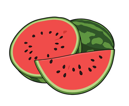 Fresh Watermelon Set Whole Striped Melon Half Cut and Juicy Slice with Seeds Summer Refreshment Vector Illustration Isolated on White Background