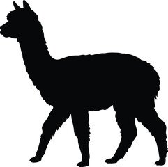 Fototapeta premium Alpaca silhouette vector. Llama vector icon