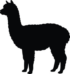 Fototapeta premium Alpaca silhouette vector. Llama vector icon