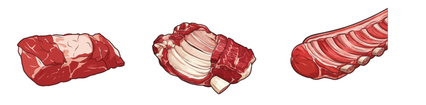Fresh Raw Meat Ribs Set Premium Beef Pork Rib Rack Cuts Butcher Shop Meat Collection Culinary Vector Illustration Isolated on White Background