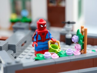 Fototapeta premium Tambov, Russian Federation - August 23, 2026 Lego Spiderman minifigure with a green watering can next to flower bed on a rooftop garden.