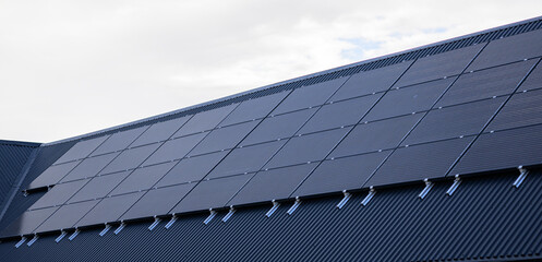 Modern black rooftop solar panels beneath cloudy sky.