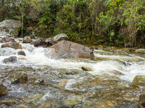 Flowing water forming rapids over large rocks amidst a lush forest with dense vegetation, waterfall like movement
