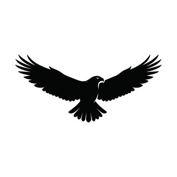 Powerful hawk silhouette in flight with extended wings for predatory bird and wilderness branding.