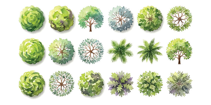 Set of top view trees for architectural landscape design and garden planning