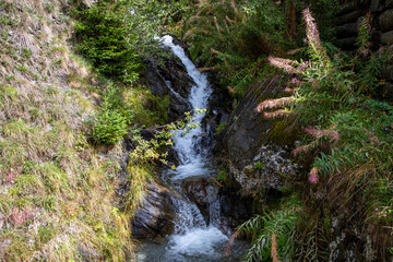 waterfall in the forest