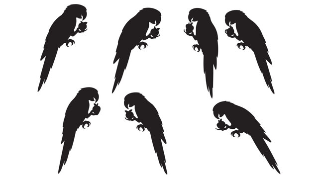 Six Black Silhouette Parakeets Eating Seeds in Row