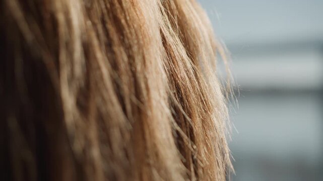 Close up view of woman light brown hair strands with soft texture and natural movement. Hair appears healthy straightened or styled in relaxed waves against out of focus background that