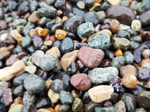 Top view of wet colorful pebbles on a beach. Natural smooth stones texture background. Macro view of shiny river rocks