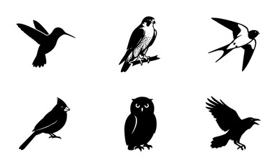 Obraz premium Set of 6 Vector Bird Silhouettes: Hummingbird, Falcon, Swallow, Cardinal, Owl, Raven Icons