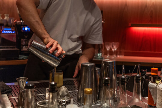 Bartender mixing cocktail with shaker in stylish bar environment