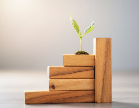 A small green plant sprout growing on top of wooden stair blocks, symbolizing business growth, career steps, success, and a sustainable future.