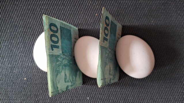 Brazilian hundred currency notes standing upright between three white chicken eggs