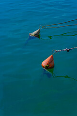 Mooring buoys floating in clear turquoise sea water with reflections and ropes © Vika