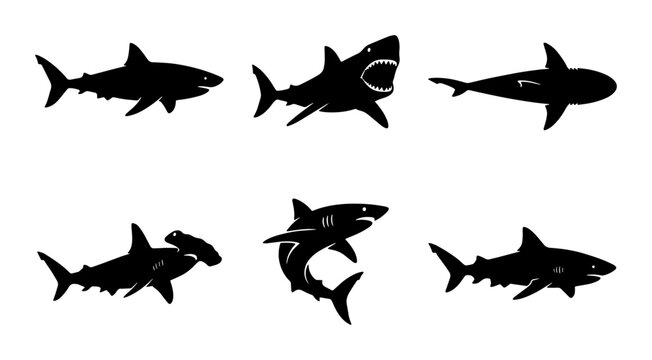 Shark Silhouettes Vector Set: Marine Predators, Ocean Wildlife Icons, Dangerous Sea Creatures, Aquatic Animals