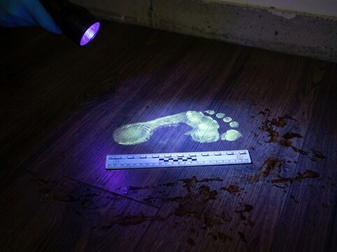 Forensic Investigation Under Ultraviolet Light Reveal Footprint Evidence