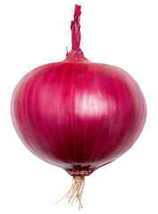 Fototapeta na wymiar Whole and halved red onion with roots and stem isolated