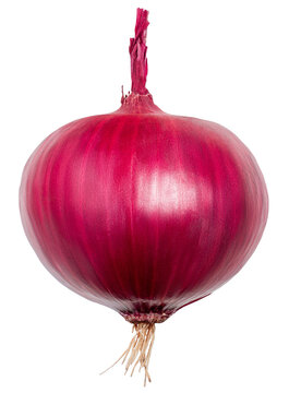 Whole and halved red onion with roots and stem isolated