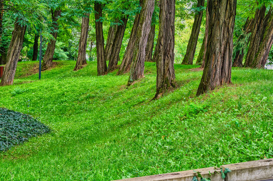 Views in the city park at the end of the fading summer.