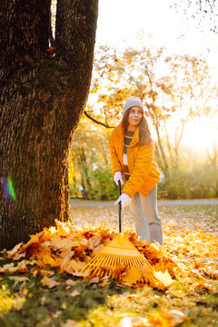 Young female volunteer works with a rake in a park covered in yellow leaves. Woman with a yellow rake gathers fallen leaves at sunset. Concept of ecology, cleanup, and the changing seasons.