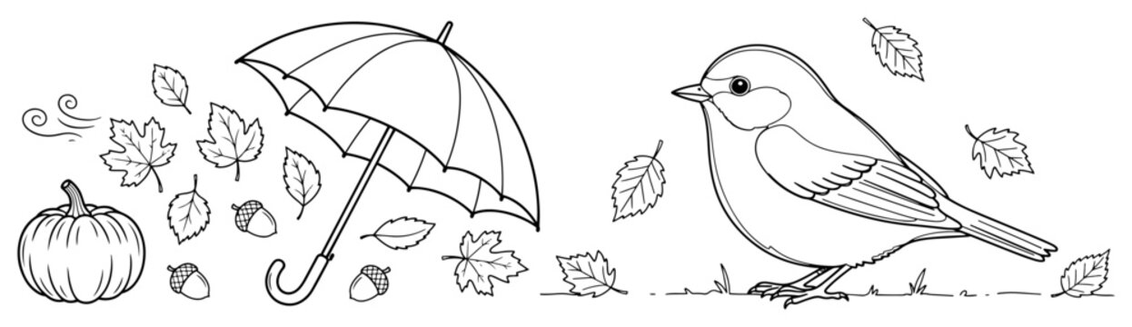 Autumn fall set with bird umbrella pumpkin and falling leaves, seasonal nature elements line art illustration, coloring page vector