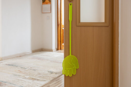 Green fly swatter hanging on wooden door in home interior