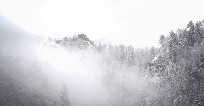 Mystical winter view of historic Poenari Castle ruins shrouded in thick fog and dense snow-covered pine forest, creating a moody, atmospheric landscape.