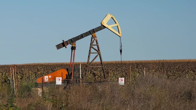 Oil pumpjack extracting crude petroleum from well