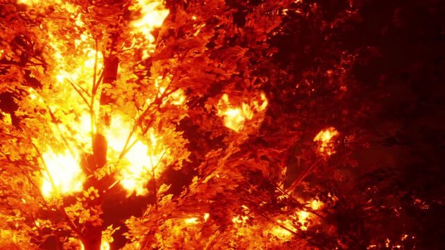 Bright flames engulf tall trees while thick smoke billows into the dusky sky. The scene captures the intense battle between nature and fire, leaving a haunting glow as darkness falls.