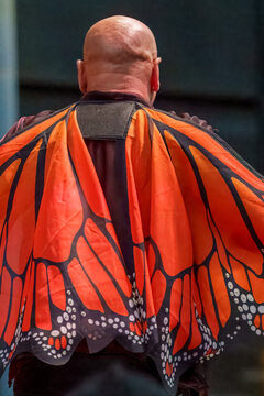 Bald man wears vivid monarch butterfly wings