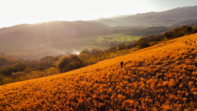 A lone hiker walking across a golden grass-covered hillside overlooking a green valley and distant mountain ranges under warm natural sunlight.