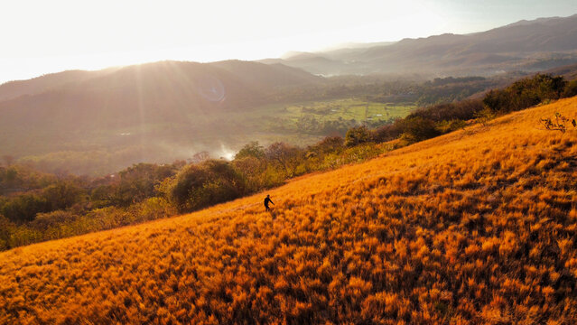 A lone hiker walking across a golden grass-covered hillside overlooking a green valley and distant mountain ranges under warm natural sunlight.