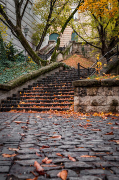 Scenic autumn stone stairs covered with fallen golden leaves leading up a hill in Budapest