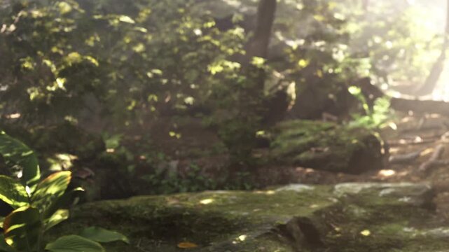 A serene forest scene unfolds with sunbeams filtering through tall trees. Moss covered stones peek through dense foliage, creating an enchanting atmosphere. Nature thrives in this tranquil haven.