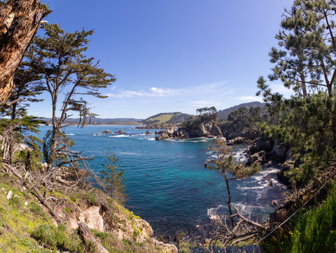 scenic coastal landscape at Point Lobos